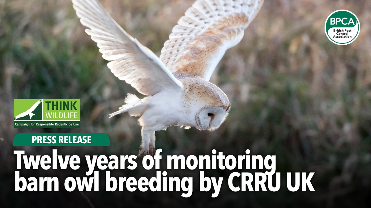 Twelve-years-of-monitoring-barn-owl-breeding-CRRU-UK-hero Twelve-years-of-monitoring-barn-owl-breeding-CRRU-UK-hero